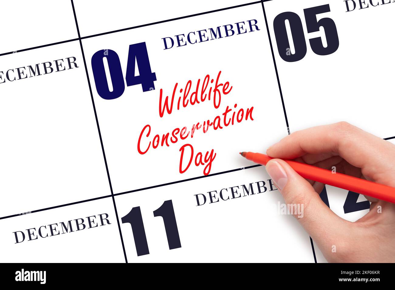 4 décembre. Texte écrit à la main Journée de la conservation de la faune à la date du calendrier. Enregistrez la date. Vacances. Concept du jour de l'année. Banque D'Images