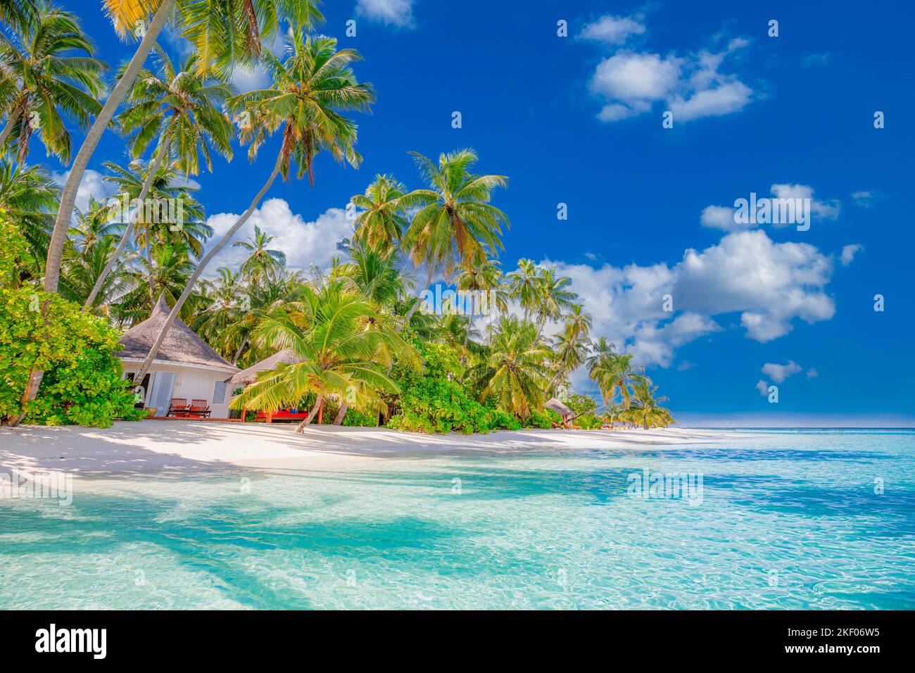 Plage panoramique de Tahiti ou Maldives. Paysage tropical rivage d'été pittoresque, sable blanc, palmiers. Voyage de luxe destination de vacances Banque D'Images Plage panoramique de Tahiti ou Maldives. Paysage tropical rivage d'été pittoresque, sable blanc, palmiers. Voyage de luxe destination de vacances Banque D'Images