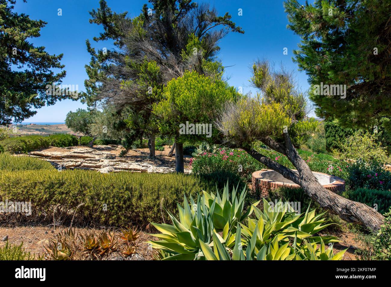 Agrigento, Sicile, Italie - 12 juillet 2020 : jardin de Kolymbendra, à l'intérieur du parc archéologique de la vallée des temples d'Agrigento Banque D'Images