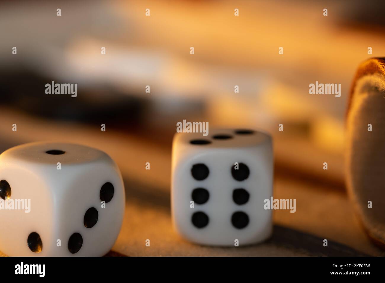 Backgammons Haute Qualité | vido-backgammon. - tagged Galuchat