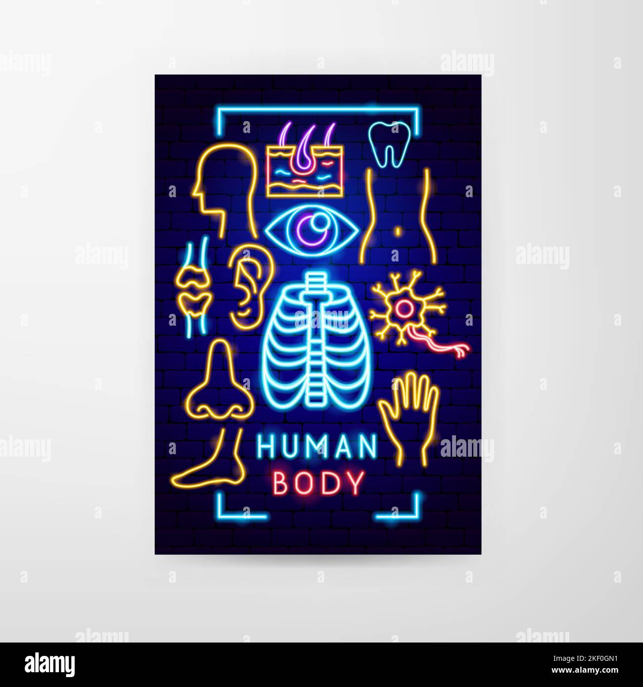Prospectus Human Body Neon Illustration de Vecteur