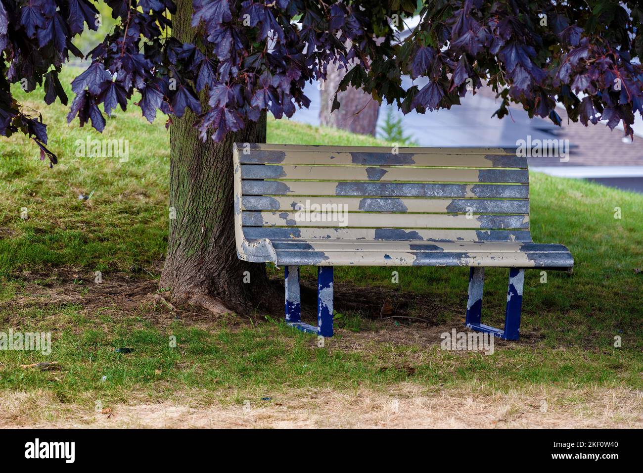 Un banc d'écaillage de peinture abîmé se trouve sous un arbre Banque D'Images