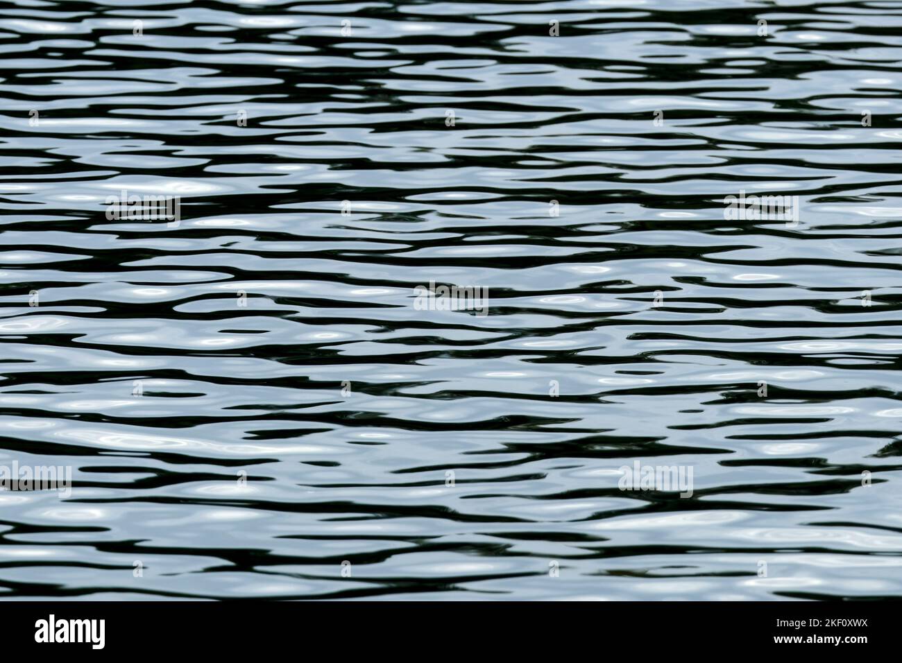 DEU, Deutschland, Nordrhein-Westfalen, Ruhrgebiet, Essen, 05.11.2022: Leichte Wellen auf der Oberflaeche des Essener Baldeneysees Banque D'Images