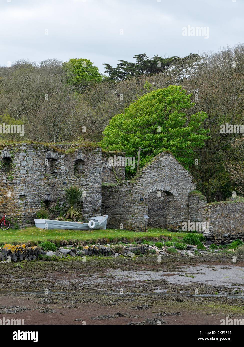 Les ruines de l'Arundel stockent du grain sur la rive de la baie Clonakilty au printemps. Un vieux bâtiment en pierre en Irlande, en Europe. Le monu architectural historique Banque D'Images