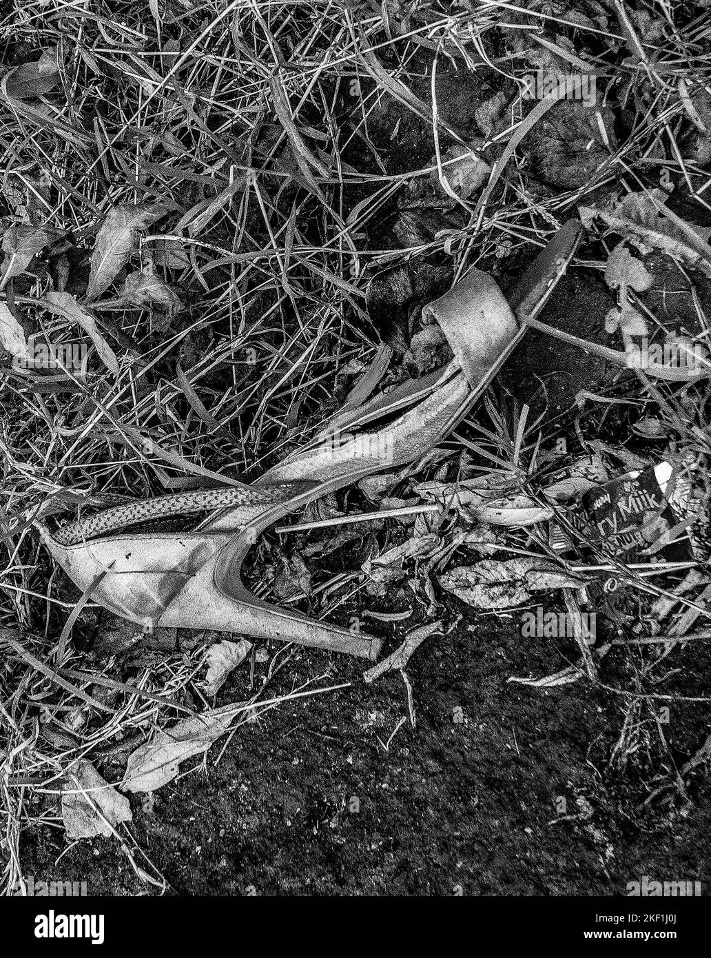 Abandonné et perdu la chaussure de femme rose dans une allée. Concept perdu. Photographie en noir et blanc Banque D'Images
