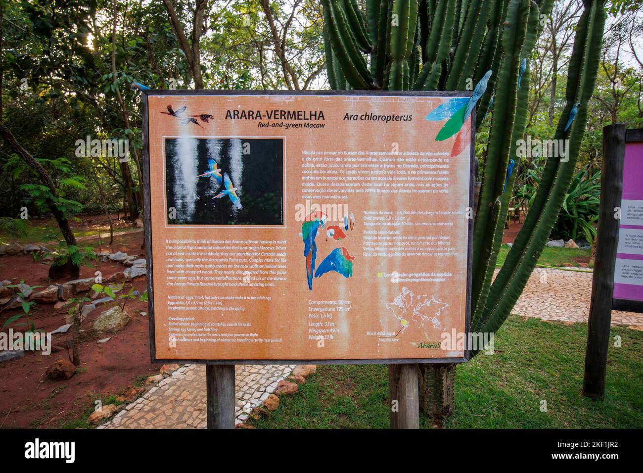 Panneau sur les aras rouges et verts à l'entrée de la Buraco das Araras, un gouffre naturel à Jardim, sud du Pantanal, Mato Grosso do Sul, Brésil Banque D'Images