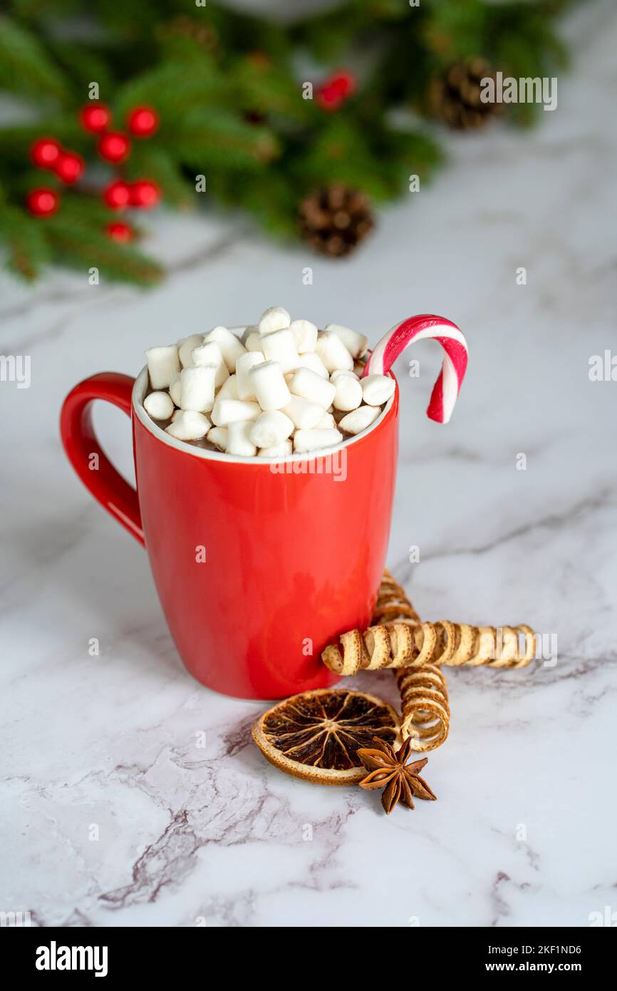 Tasse rouge avec chocolat chaud et guimauves et canne à sucre avec décoration de noël Banque D'Images