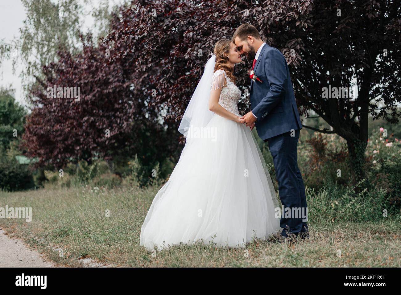 Bonne jeune mariée et marié le jour de leur mariage. Un couple de mariage est une nouvelle robe de mariage de famille. Banque D'Images Bonne jeune mariée et marié le jour de leur mariage. Un couple de mariage est une nouvelle robe de mariage de famille. Banque D'Images