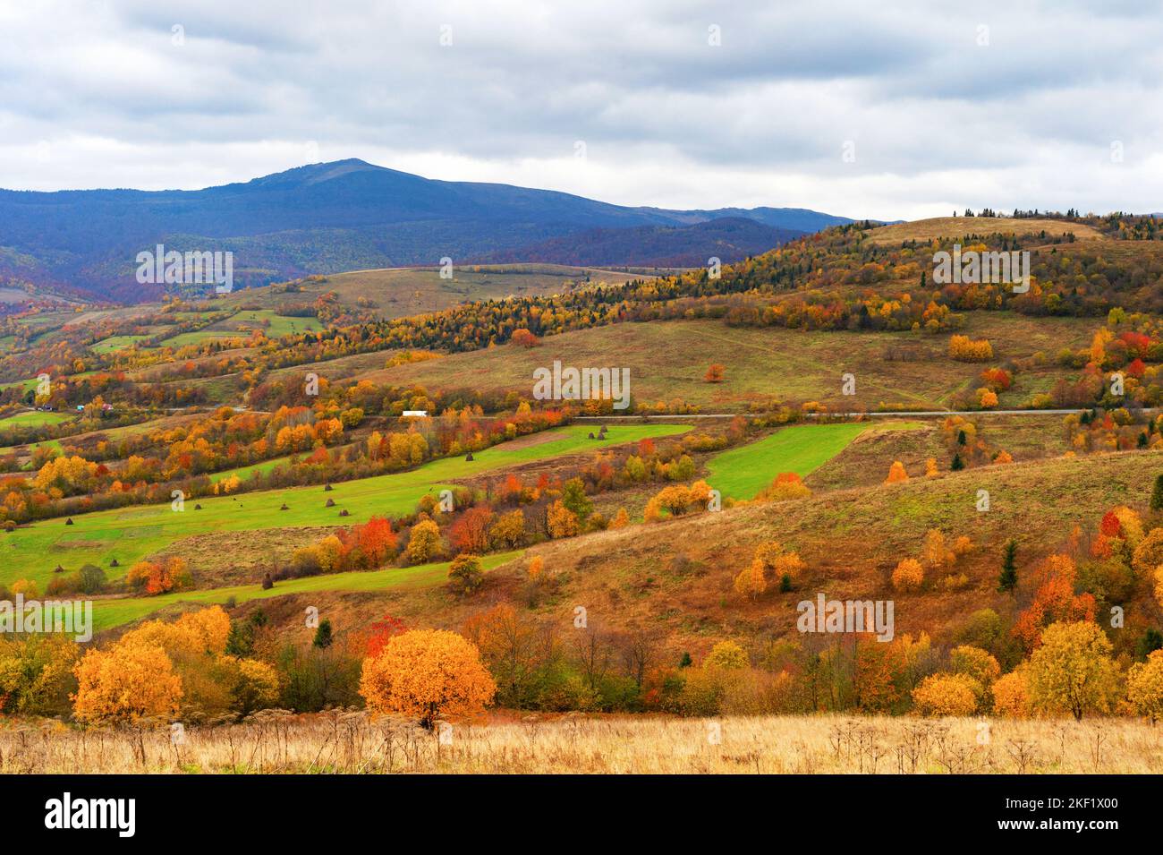 Paysage coloré, arbres et champs, montagnes en arrière-plan, scène d'automne, Carpathian montagnes, Ukraine Banque D'Images