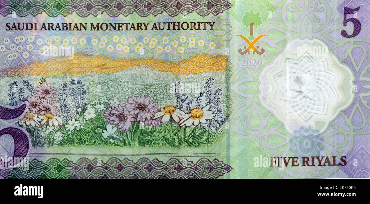 Grand fragment de l'envers du nouveau polymère 5 SAR cinq l'Arabie Saoudite riyals argent liquide billets de banque série 1441 AH 2020 présente un domaine de Banque D'Images