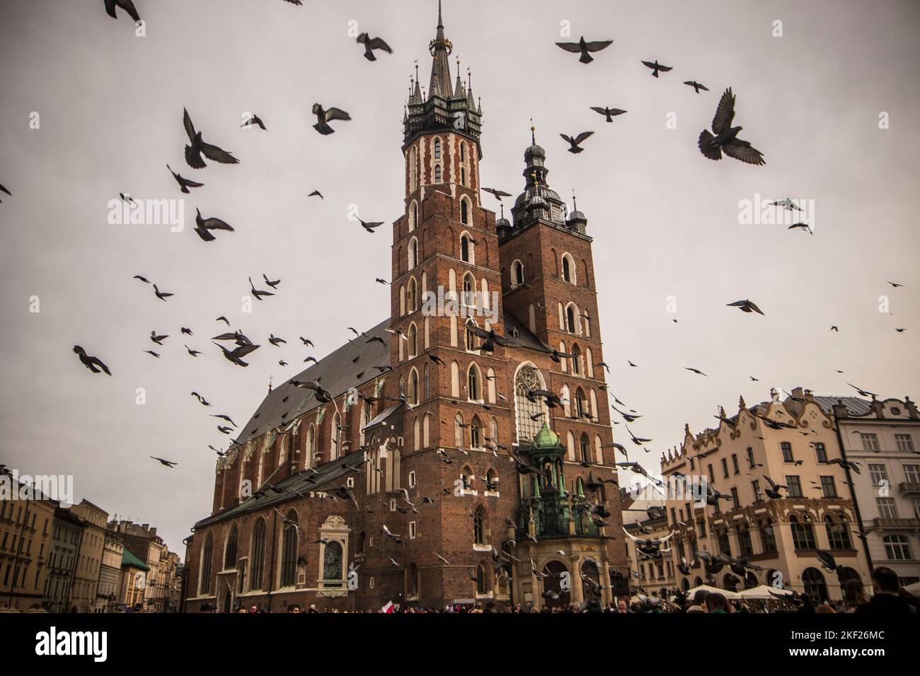 Cathédrale St Marys de Cracovie avec pigeons Banque D'Images