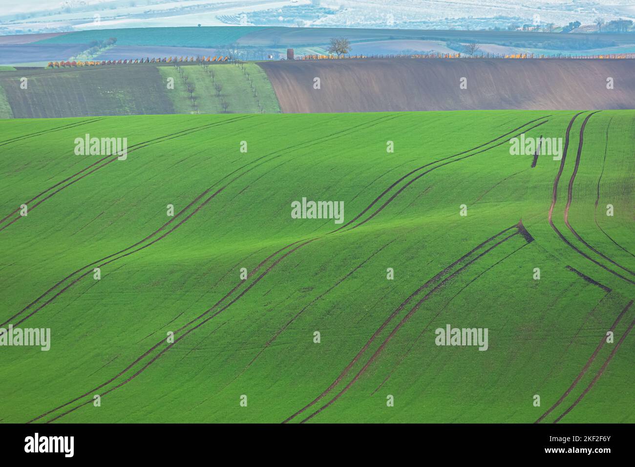 Les lignes de chenilles des tracteurs agricoles se trouvent au-dessus des paysages vallonnés des terres agricoles de la Moravie du Sud, en République tchèque. Banque D'Images