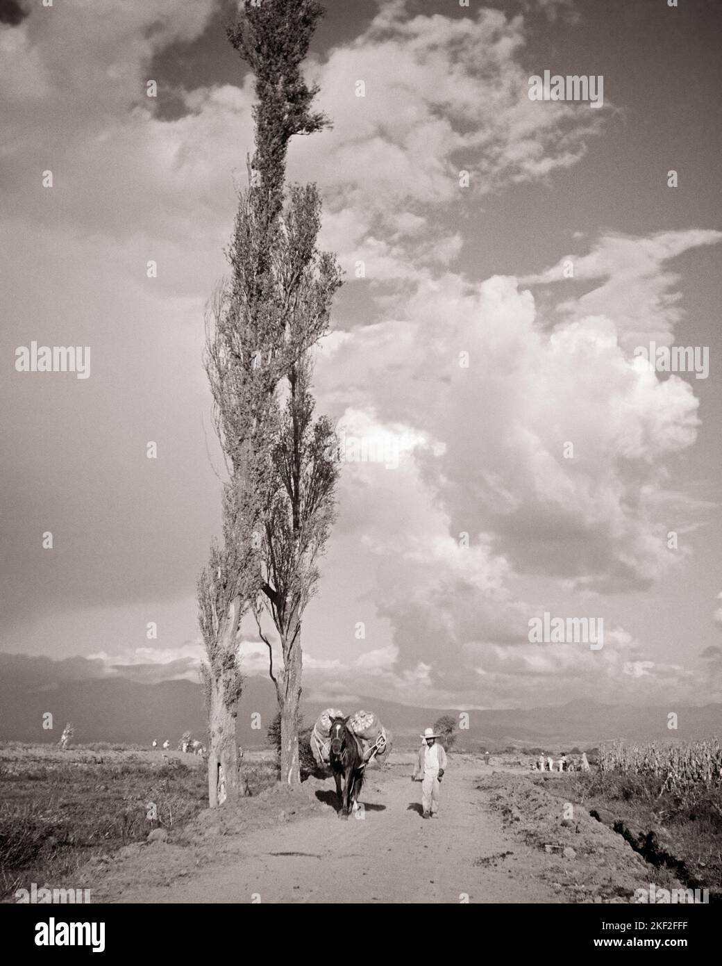 1930S 1940S AGRICULTEURS TRANSPORTANT DES PRODUITS DES JARDINS DE XOCHIMILCO AUX MARCHÉS DE MEXICO - L667 HAR001 HARS INSPIRATION AGRICULTURE MÂLES SÉRÉNITÉ SPIRITUALITÉ TRANSPORT AGRICULTURE B&W OBJECTIFS LIBERTÉ NUAGES MEXIQUE MAMMIFÈRES ET MARCHÉS AGRICULTEURS SE RAFRAICHI SOUS LE LIEN DES PROFESSIONS LES JARDINS PRODUISENT PAYSAGE PAYSAGES MAMMIFÈRES MILIEU-ADULTE PAYSAN PEUPLIER NOIR ET BLANC EL HAR001 ANCIEN XOCHIMILCO Banque D'Images