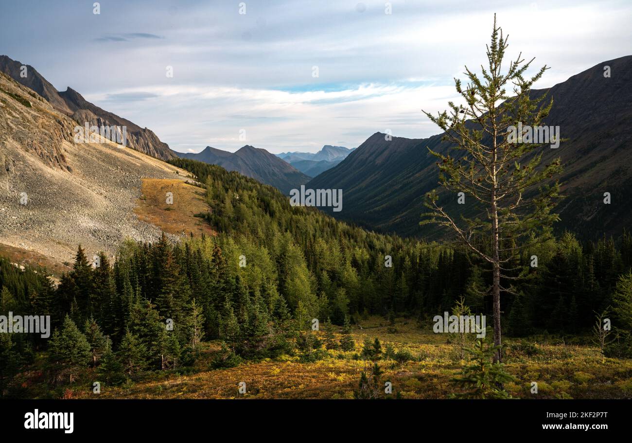 Sentier de randonnée Ptarmigan Cirque à Kananaskis Alberta Canada. Banque D'Images