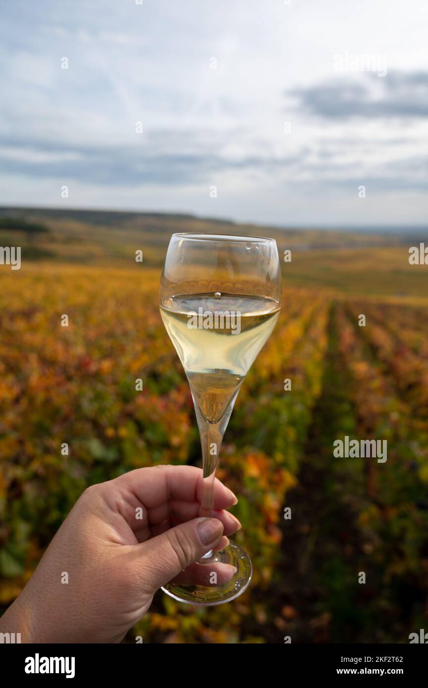 Dégustation de vin blanc mousseux français avec bulles de champagne sur ...