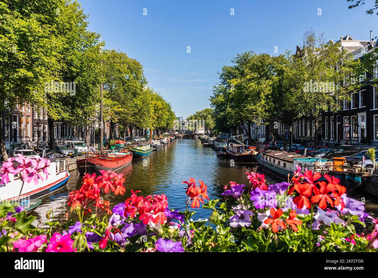 Fleurs sur le Prinsengracht, Amsterdam, pays-bas Banque D'Images