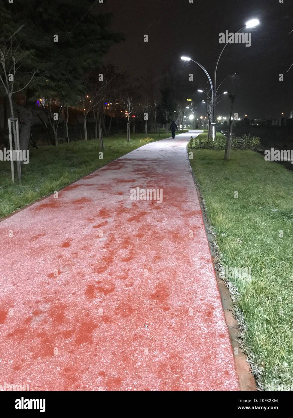 Piste de course glacée lors d'une nuit enneigée à Istanbul, Turquie. Banque D'Images