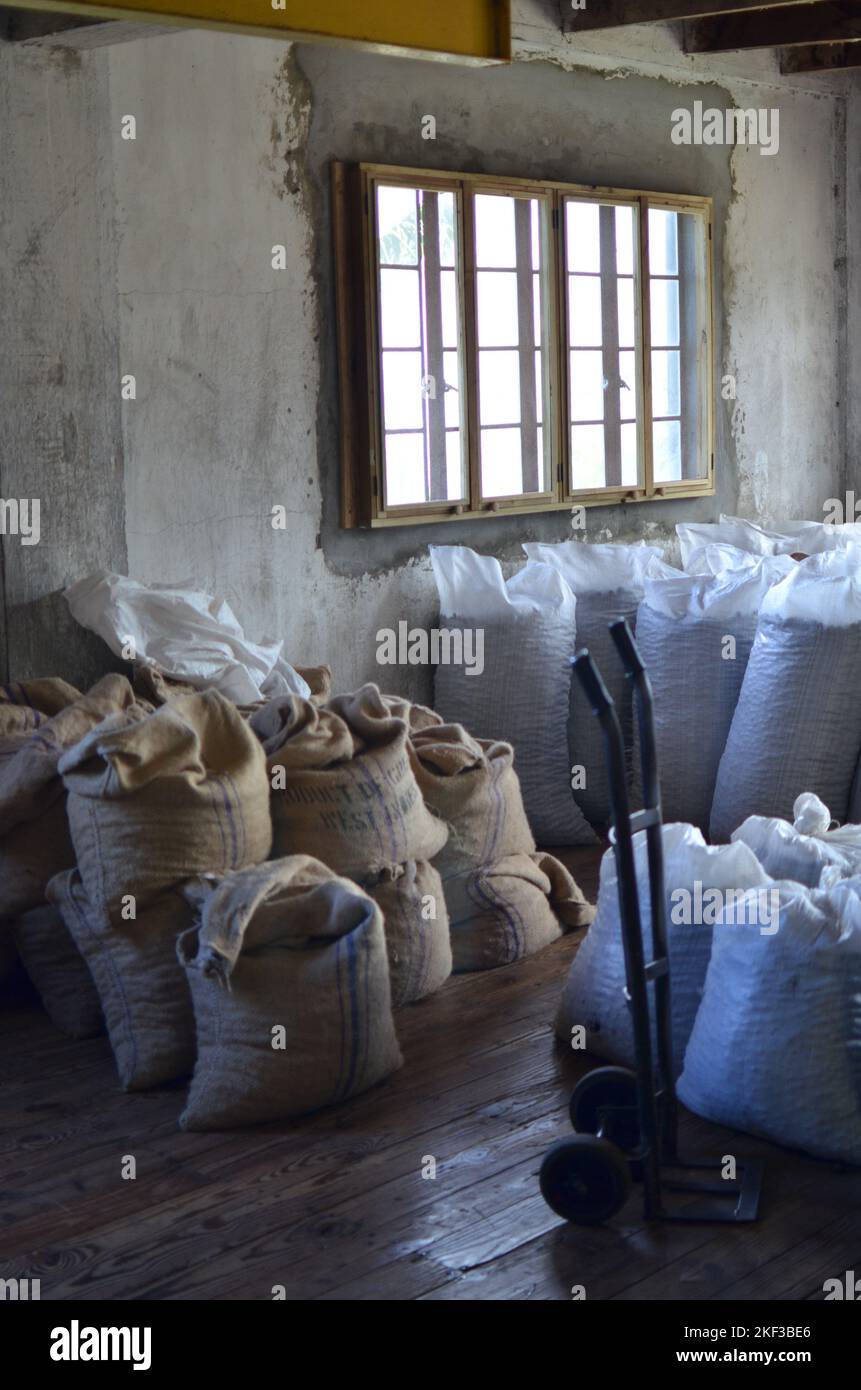 Production de noix de muscade Grenade Caribic herbes artisanales épices Banque D'Images