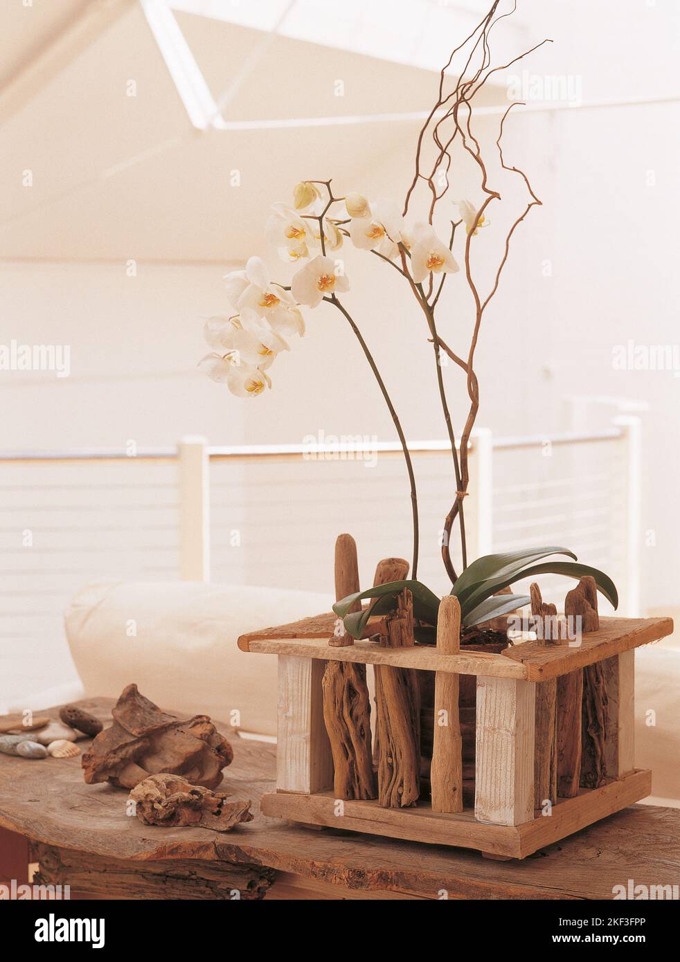 Orchidées dans un planteur de bois flotté recyclé Photo Stock - Alamy