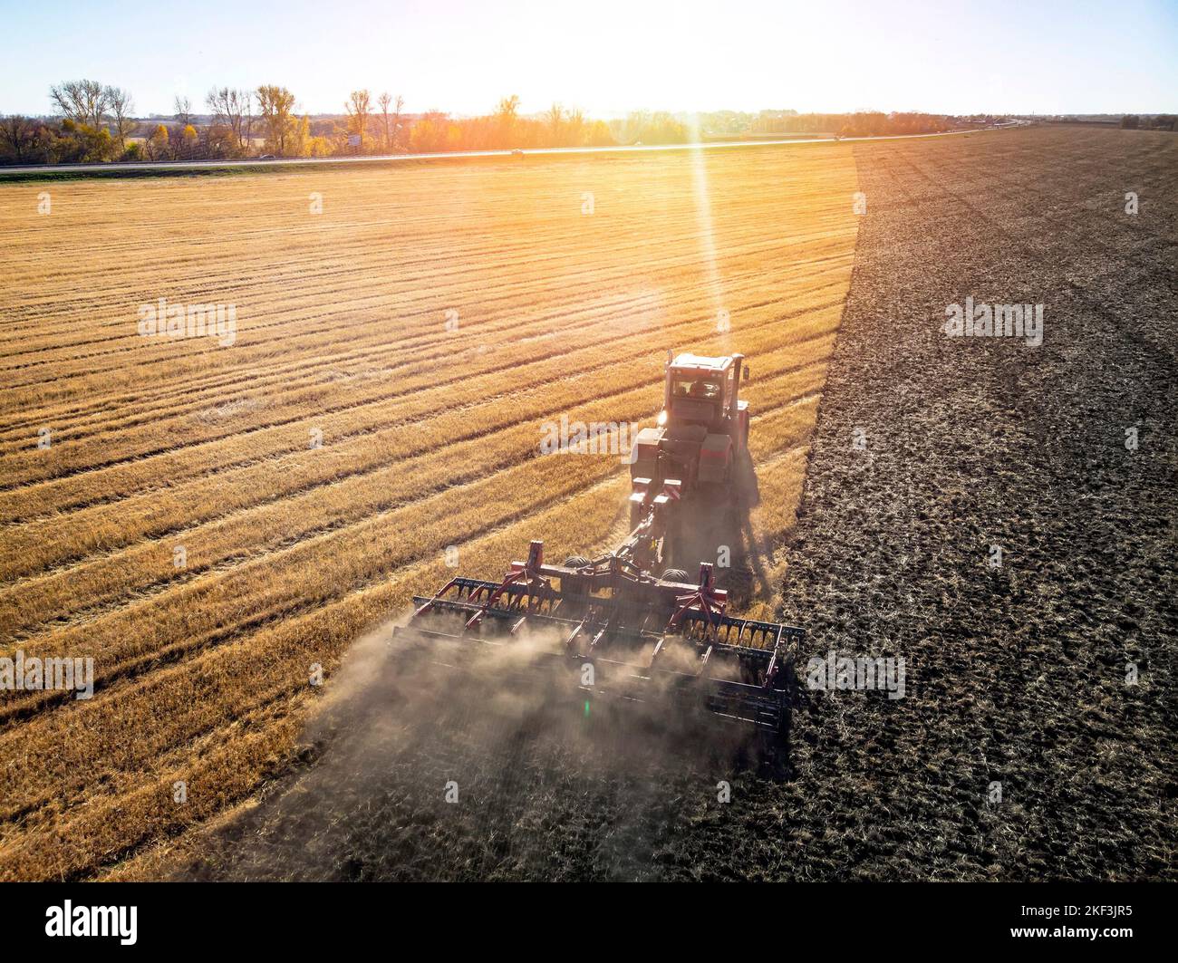 Récolte de blé en été au lever du soleil,. Une récolteuse rouge travaillant dans le champ. Vue d'en haut. Hante, récolte de foin au coucher du soleil Banque D'Images