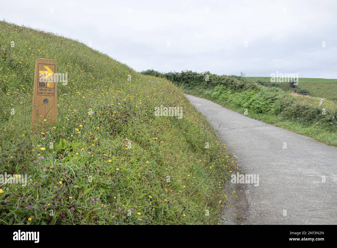 Camino de Santiago (chemin de Saint-Jacques) au pays Basque, Espagne Banque D'Images
