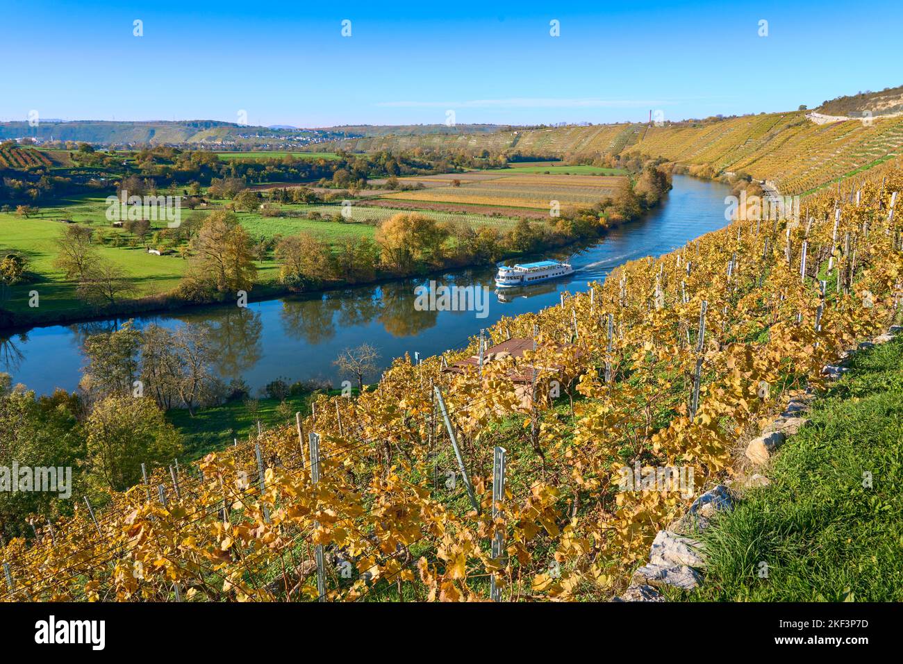 Automne dans les pentes abruptes des vignobles de la vallée du Neckar près de Hessigheim, Baden.Wuerttemberg, Allemagne Banque D'Images