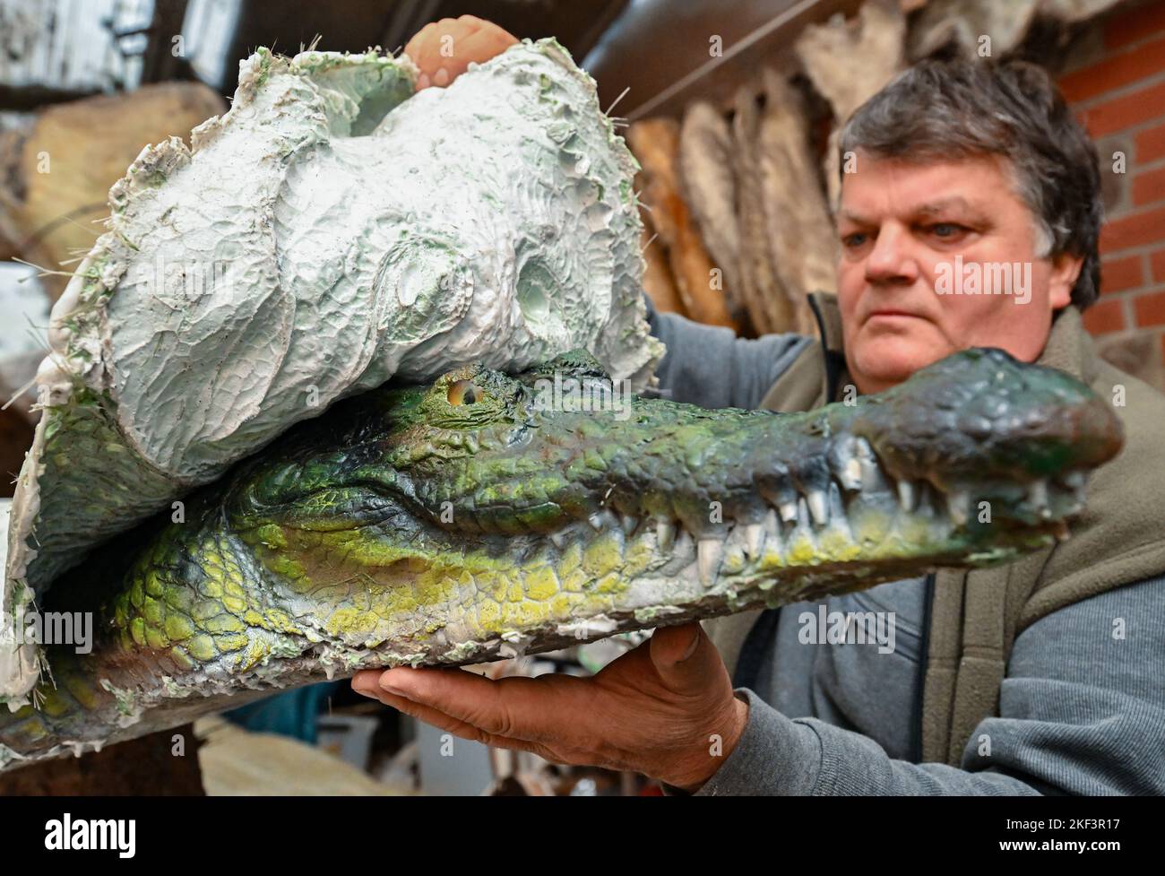 16 novembre 2022, Brandebourg, Trebus: Thomas Winkler, taxidermiste, enlève un moule en silicone d'une réplique d'un crocodile du Nil. Le taxidermiste utilise sa propre réplique d'un crocodile du Nil pour en faire d'autres copies. Il lui a fallu deux jours pour faire la moisissure du reptile de 3,30 mètres de long. Thomas Winkler possède une exposition africaine privée avec plus de 100 animaux différents, dont certains sont des répliques et d'autres sont des animaux préparés originaux. Winkler préserve à peu près tout : des souris aux éléphants. L'éléphant est de taille réelle comme réplique dans le jardin du taxidermiste. Pho Banque D'Images