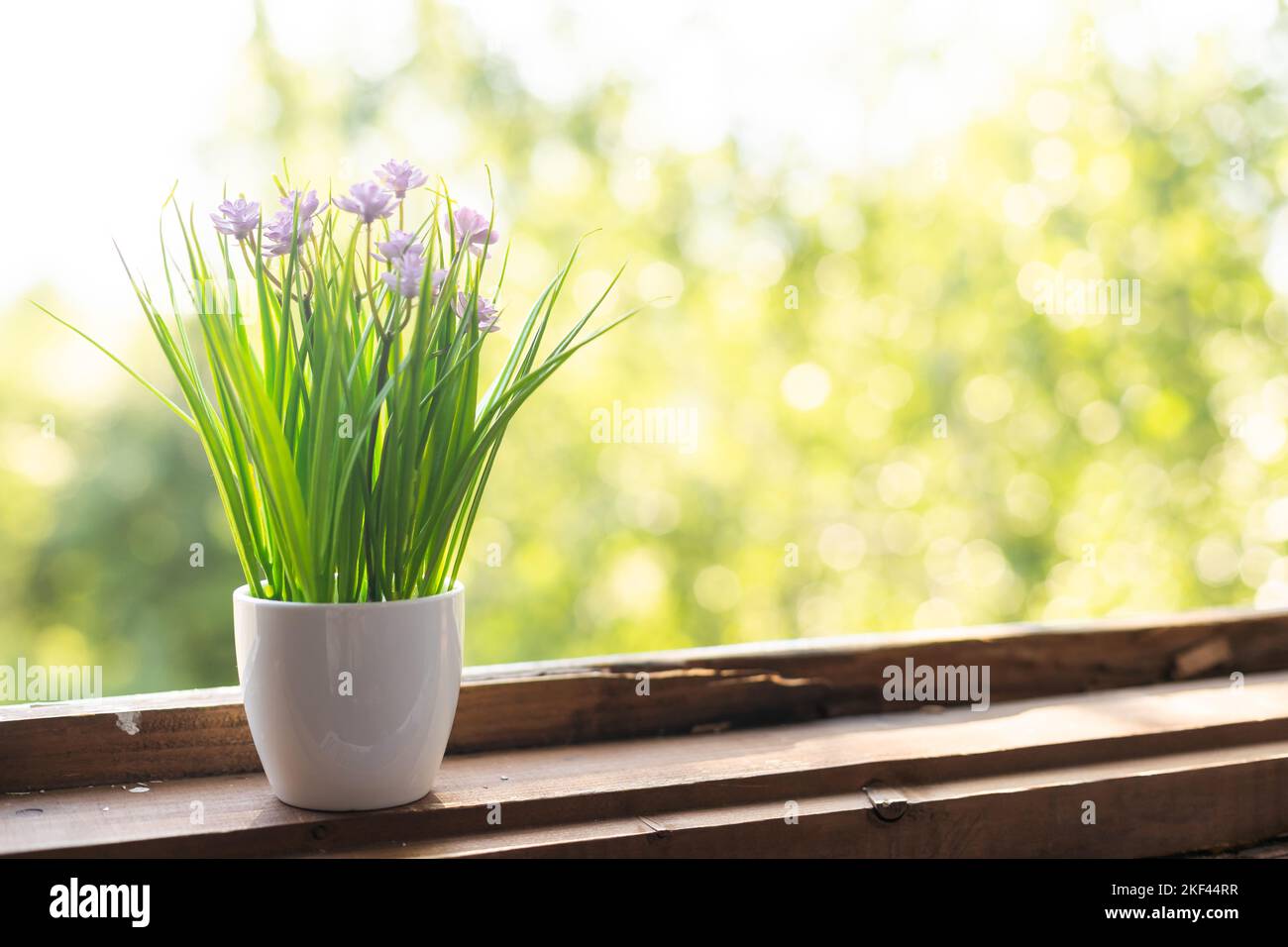 Belle maison avec pot à fleurs blanc sur la texture de la table de bureau en bois clair Banque D'Images