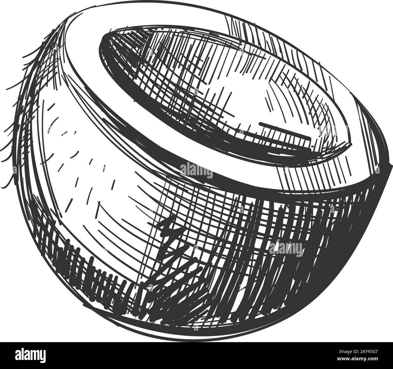 Noix de coco dessinées à la main. Dessin d'écrou à moitié coupé Illustration de Vecteur