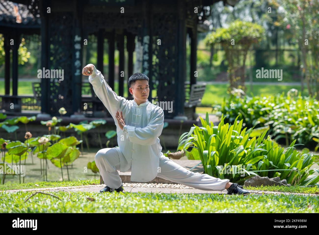 Entraînement d'homme asiatique avec Tai Chi le matin au parc, arts martiaux chinois, concept de soins sains pour une vie saine. Banque D'Images
