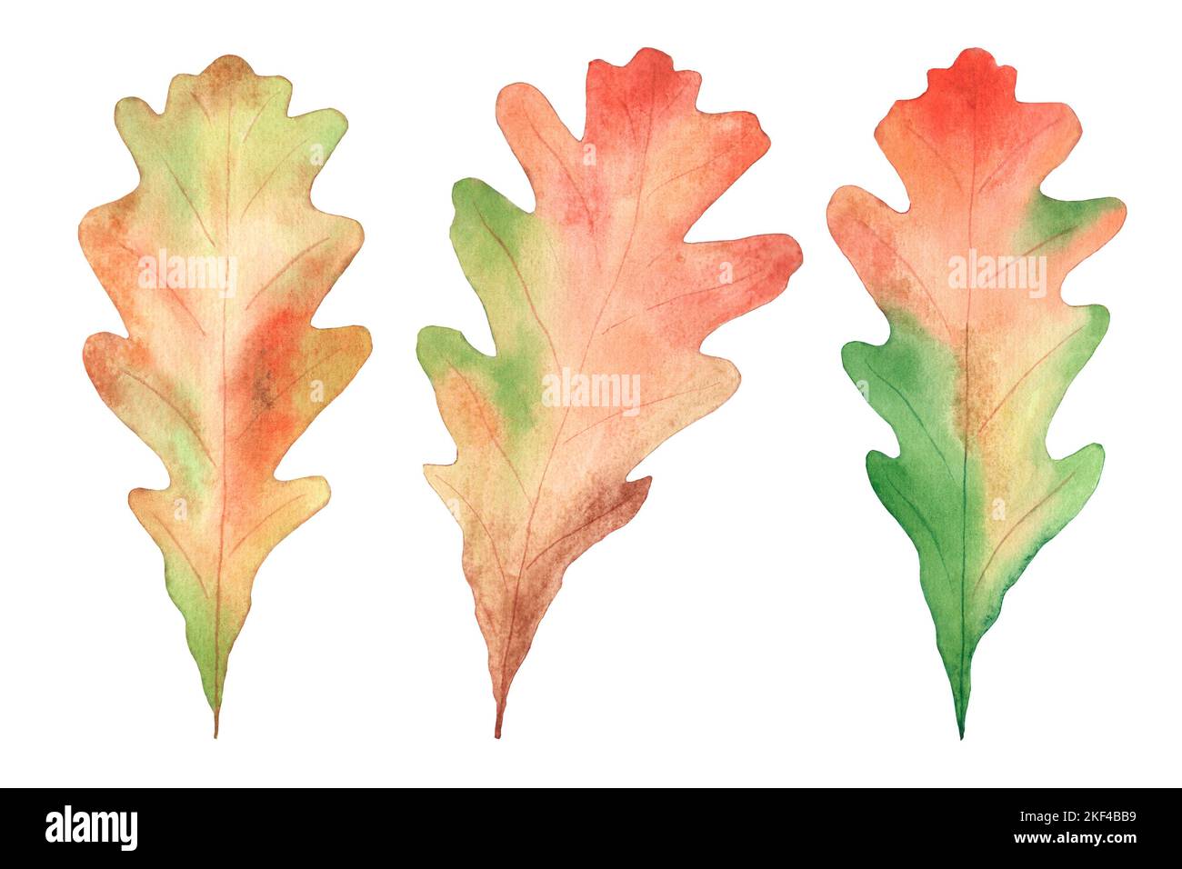 Illustration à l'aquarelle. Ensemble de feuilles de chêne d'automne lumineux sur un fond blanc. Convient pour l'impression sur tissus et la conception de cartes postales. Banque D'Images