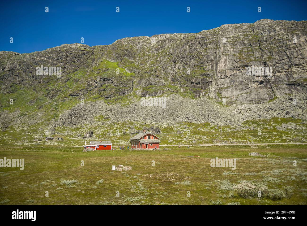 Plateau de Hardanger à Summertime, Norvège Banque D'Images