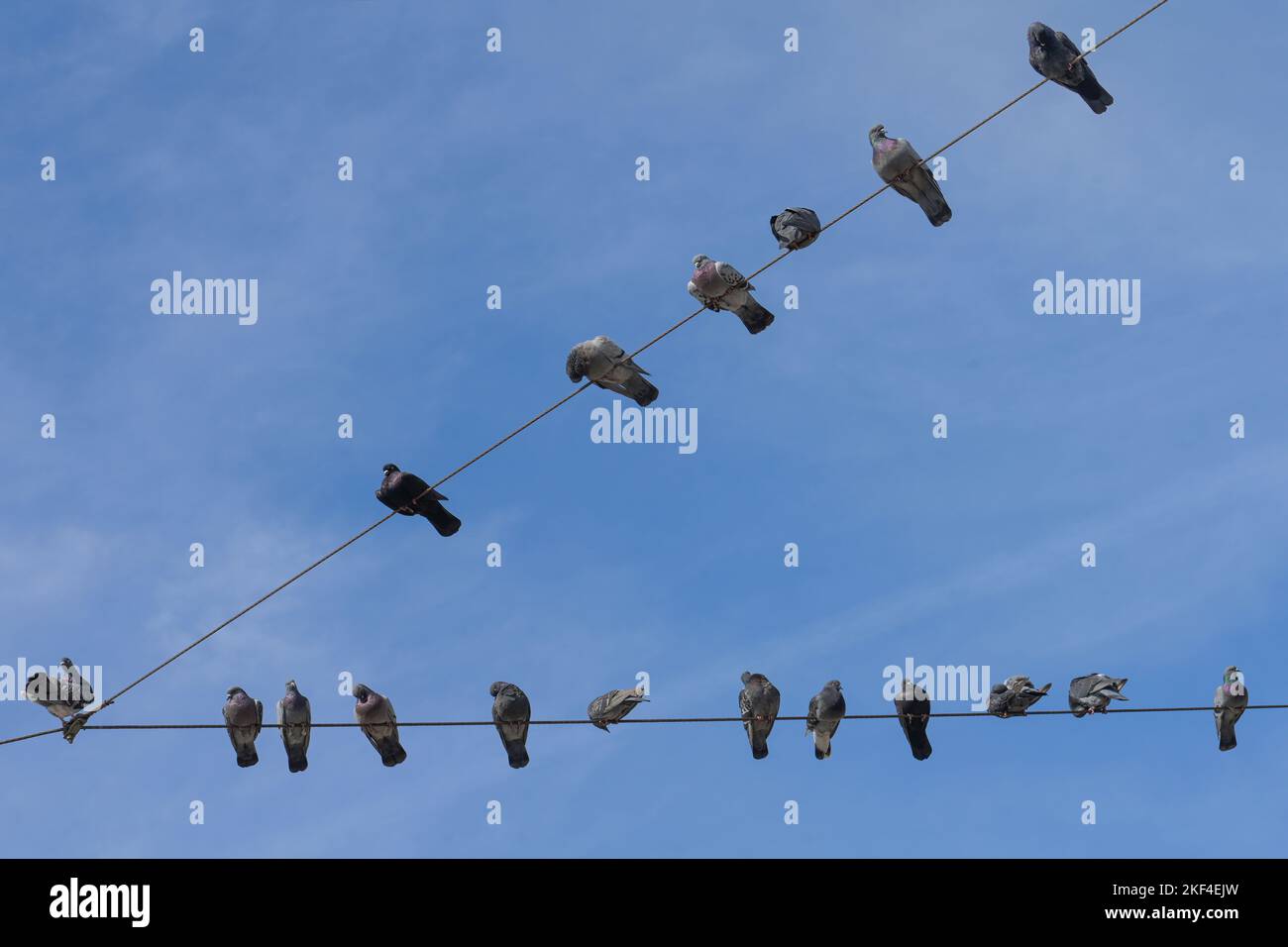 Handy verbot zeichen Schwarzweiß-Stockfotos und -bilder - Alamy