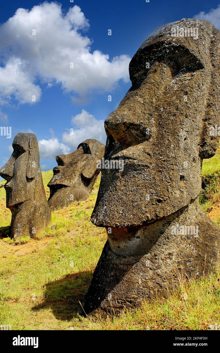 Moai Statuen in Rano Raraku auf den Osterinseln, Polynésien, Chili. Banque D'Images