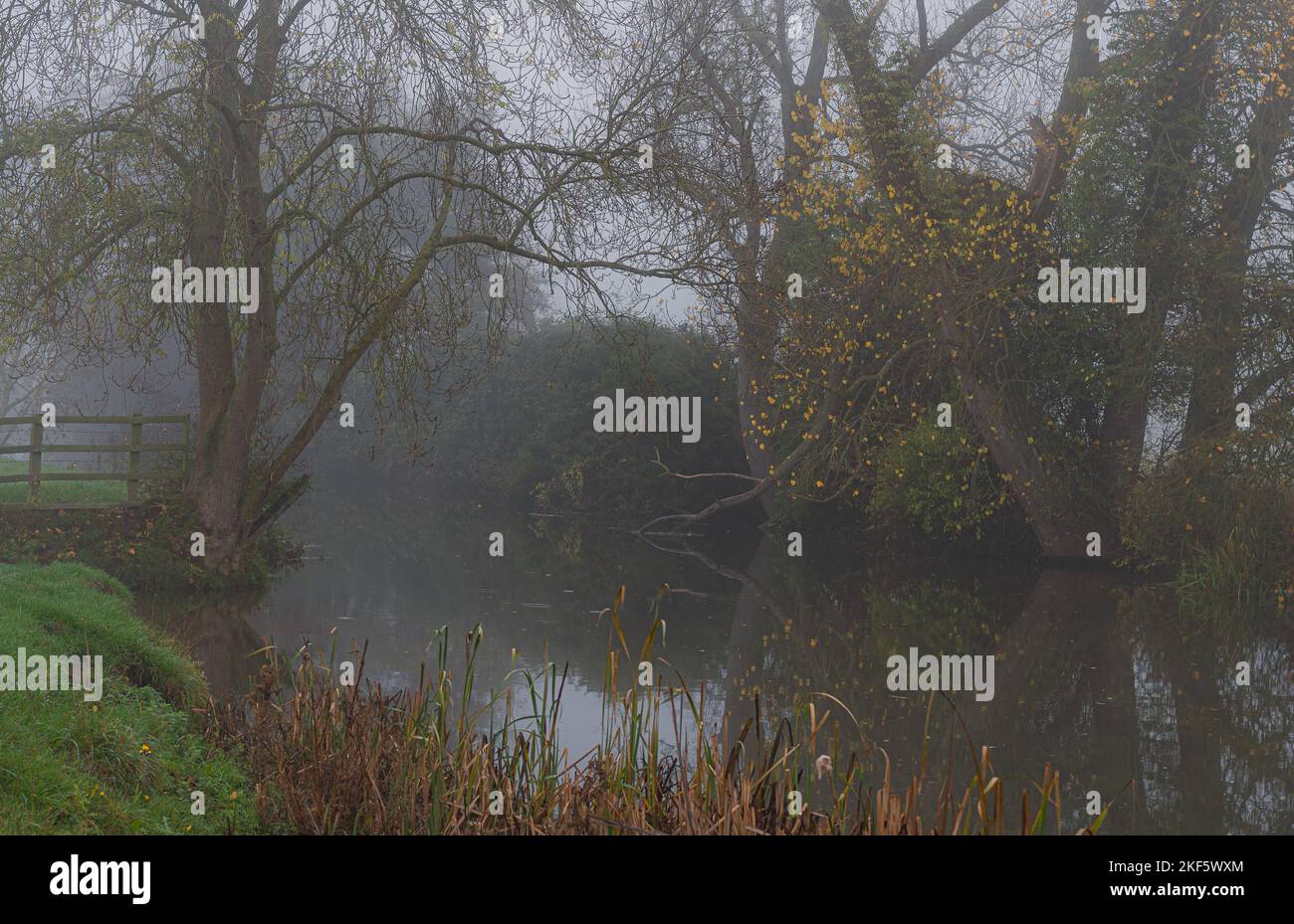 Paysage automnal à Dedham Vale. Arbres colorés au bord de la rivière Stour. Essex - bordure du Suffolk. Banque D'Images