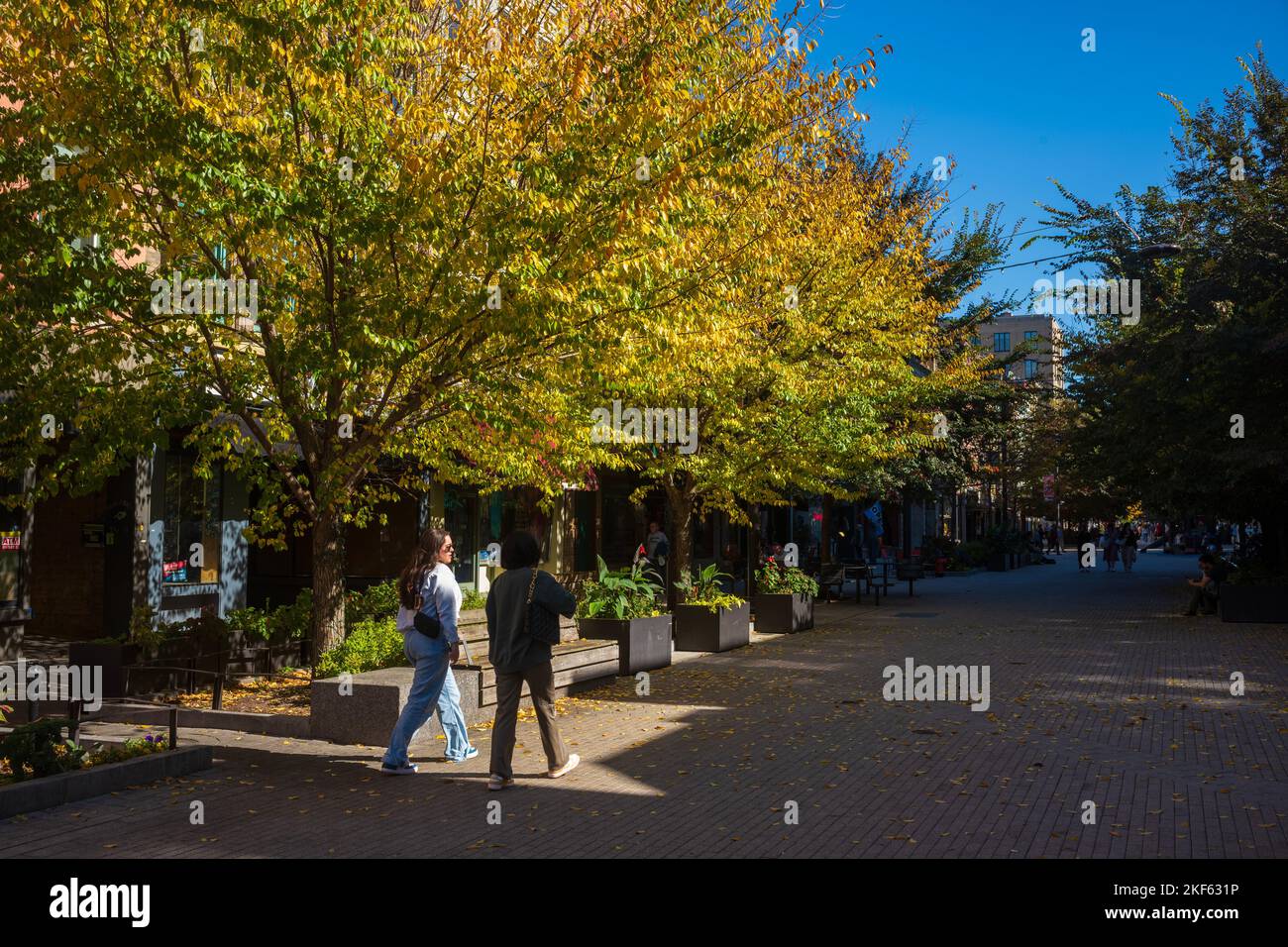Ithaca, NY, USA - 24 octobre 2022 : le centre-ville Ithaca Commons, vu ici pendant la saison d'automne, est un magasin unique à quatre pâtés de maisons, réservé aux piétons Banque D'Images