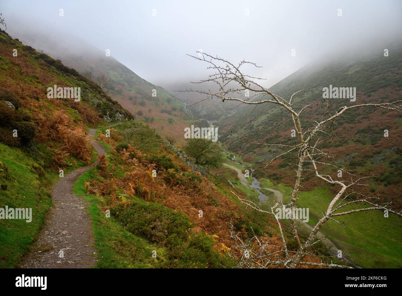 Misty Morning landscaope dans les collines de Shropshire Banque D'Images