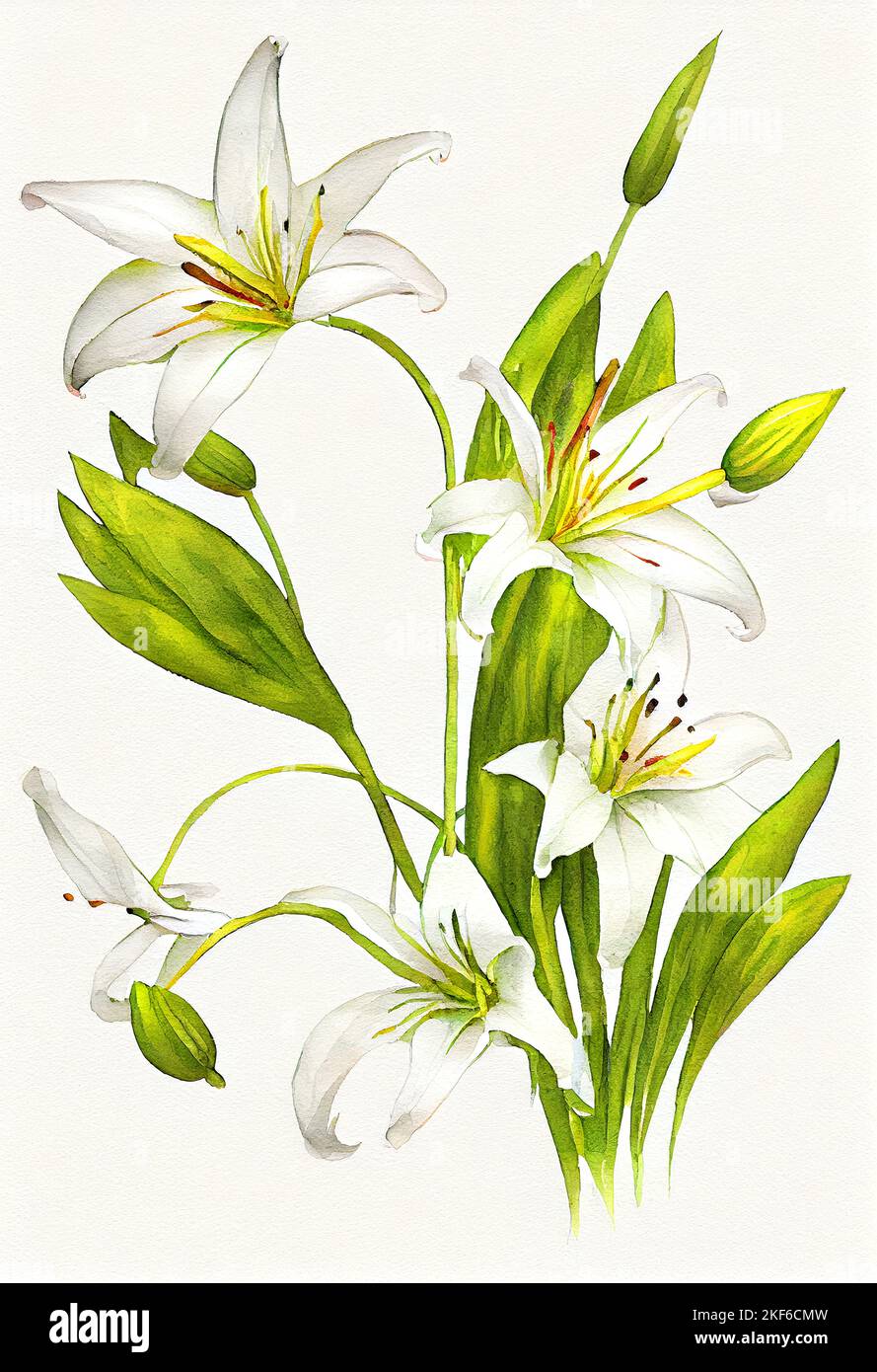 Illustration de Lily Flower en aquarelle style de peinture pour mariage papeterie, salutations, fonds d'écran, mode, arrière-plan. Banque D'Images