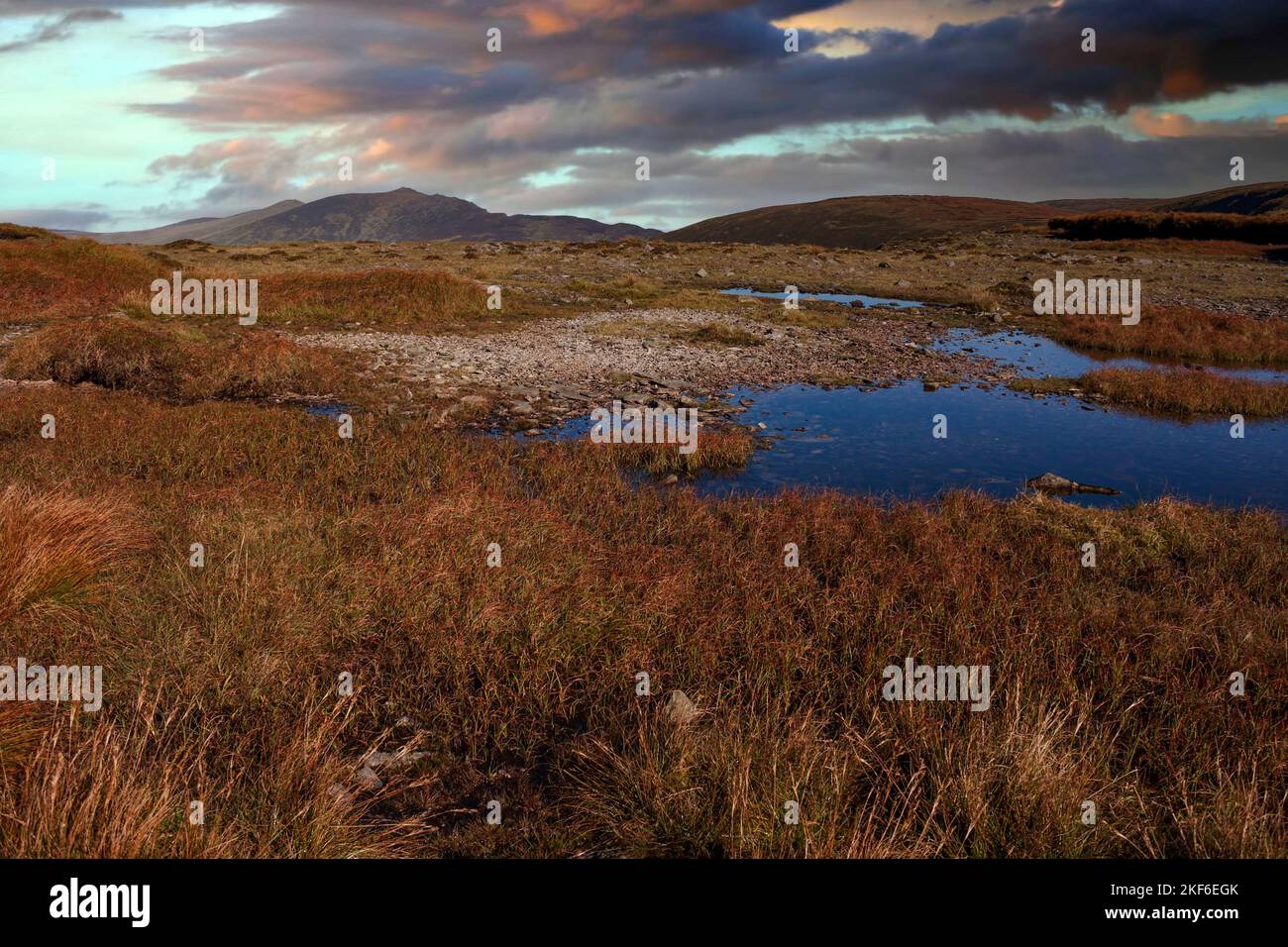 Il y a beaucoup de petits étangs sur des tourbières toujours humides sur le plateau Comeragh dans le comté de Waterford, en Irlande. Banque D'Images