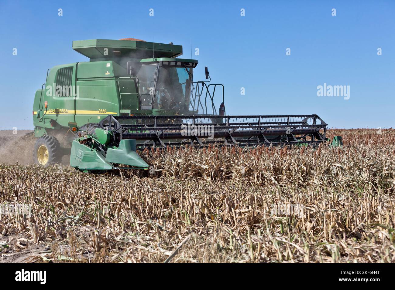 Moissonneuse-batteuse John Deere 9550, agriculteur récoltant du sorgho à grains milo, du sorgho vulgare, comté de Trego, Kansas. Banque D'Images