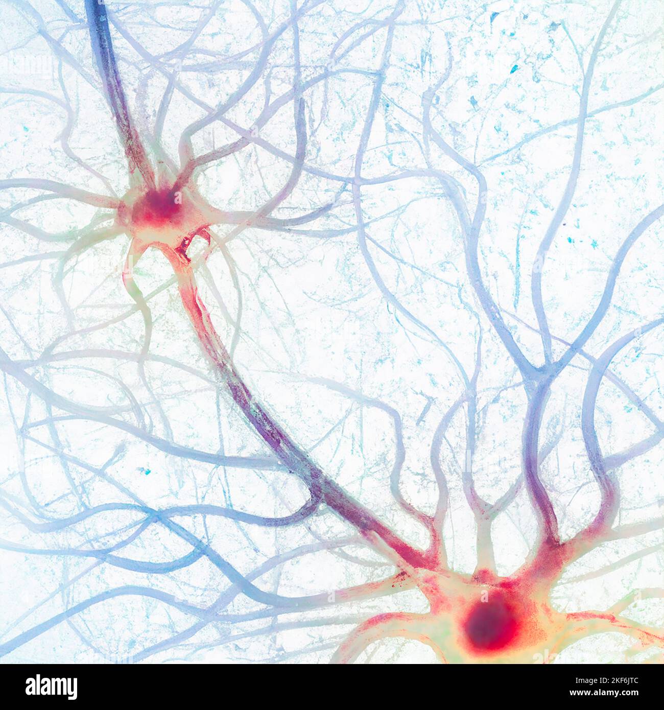 Vue microscopique des synapses. Connexions cérébrales. Neurones et synapses. Communication et stimulation cérébrale. Circuit de réseau neuronal, dégénératif Banque D'Images