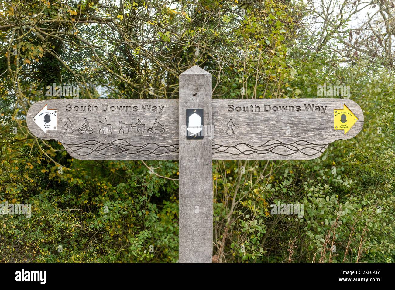 Panneau Fingerpost pour South Downs Way long distance PATH dans le parc national de South Downs près d'Exton, Hampshire, Angleterre, Royaume-Uni Banque D'Images