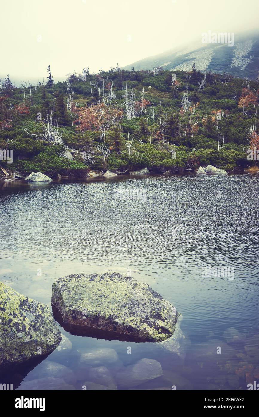 Photo rétro d'un lac de montagne par temps de brouillard, ton de couleur appliqué. Banque D'Images