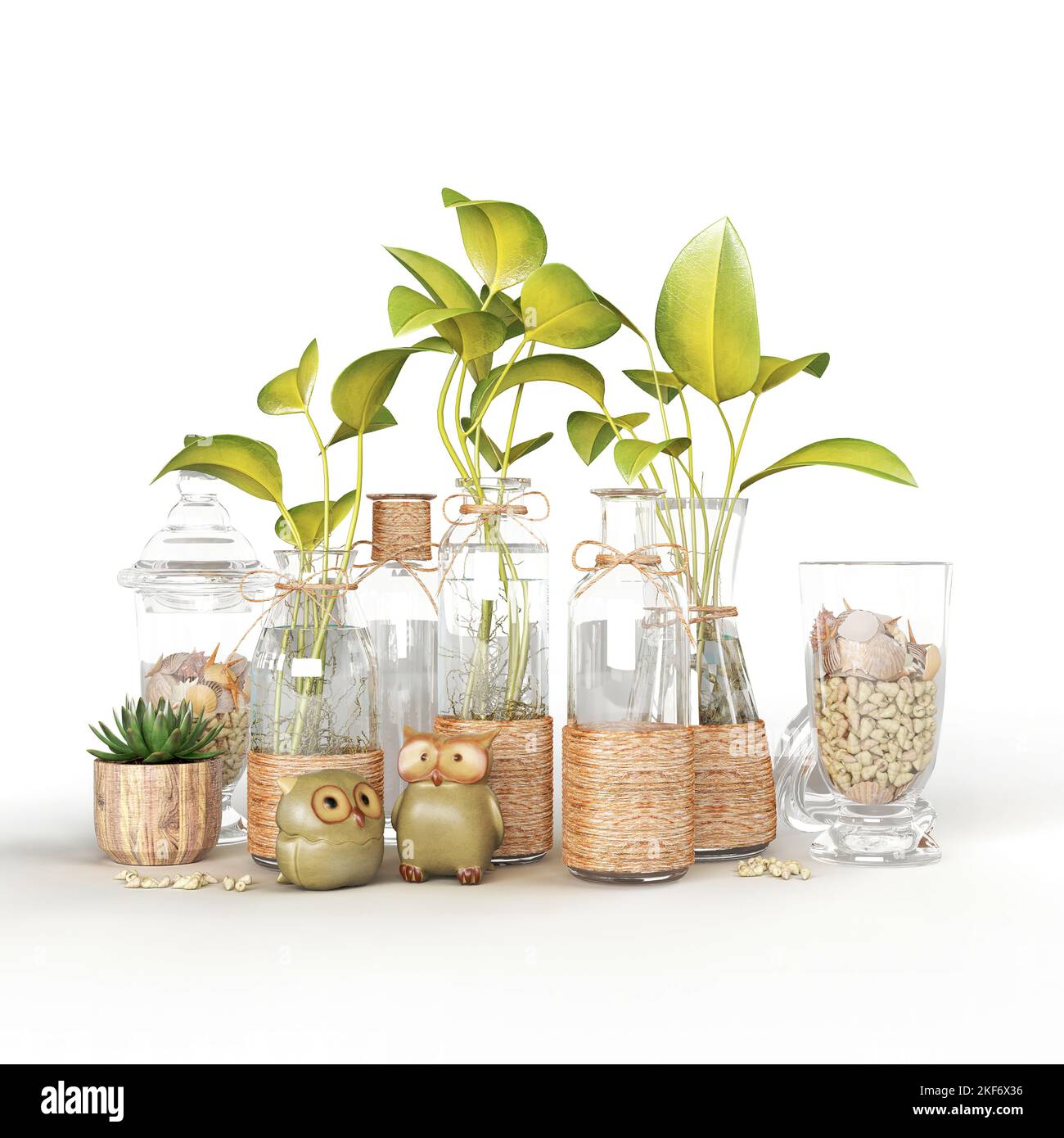 Les 3D vases en verre réalistes avec des plantes isolées sur un fond blanc vertical. Banque D'Images