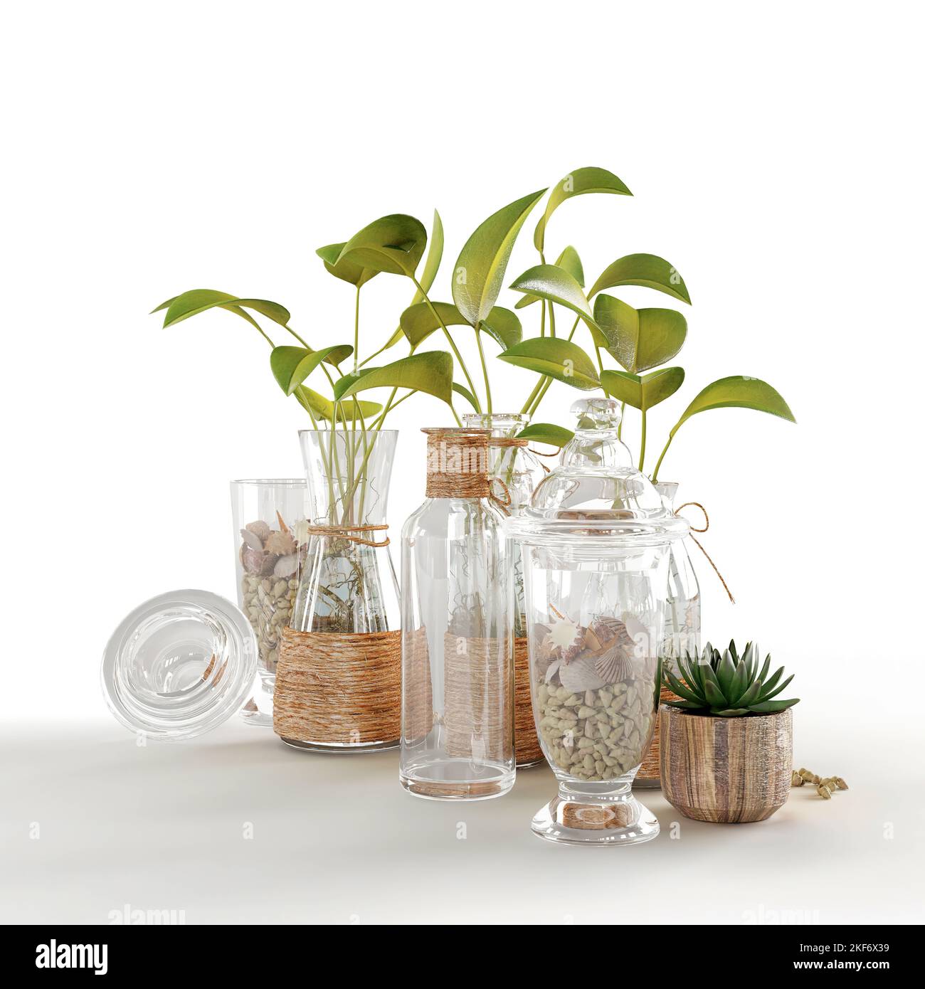 Les 3D vases en verre réalistes avec des plantes isolées sur un fond blanc vertical. Banque D'Images