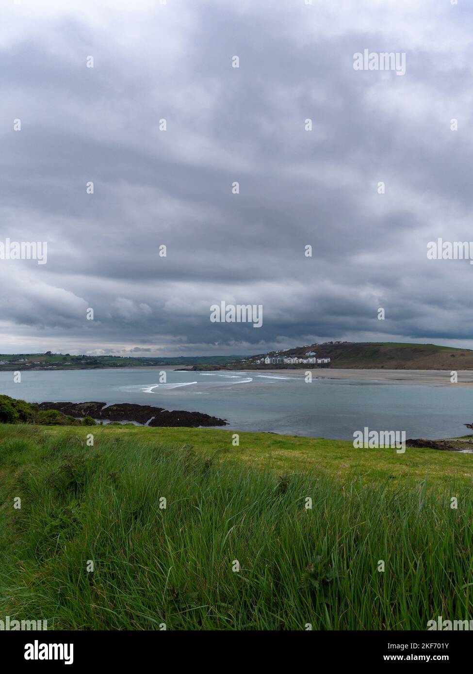Vue sur la baie de Clonakilty. Herbe épaisse. Le littoral de l'Irlande. Paysage de bord de mer. Temps nuageux. Banque D'Images