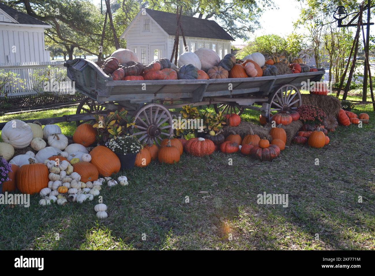 : Décoration de citrouilles avec le vieux carrage Banque D'Images