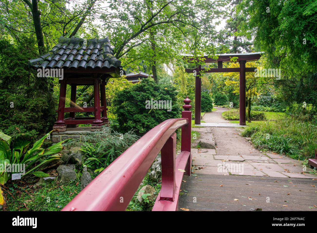 Vue magnifique sur les portes de torii et chemin de pied à travers le pont japonais rouge dans le jardin japonais de Leverkusen. Aussi quelques petites constructions sous le toit Banque D'Images