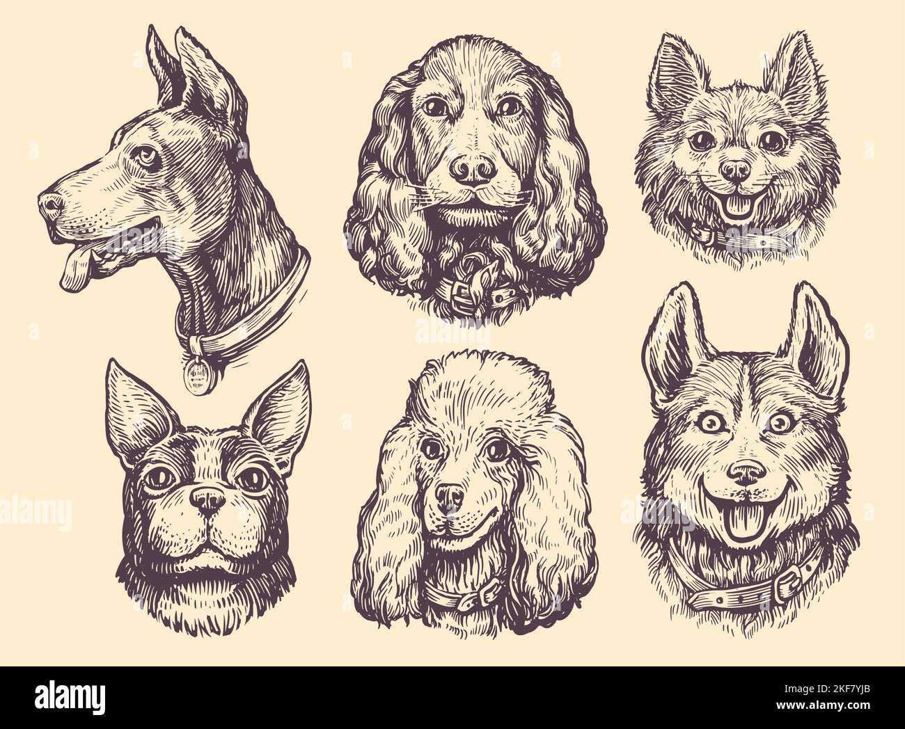 Ensemble de portraits de têtes de chiens de différentes races. Collection animaux mignons. Illustration du vecteur chien et chiot Illustration de Vecteur