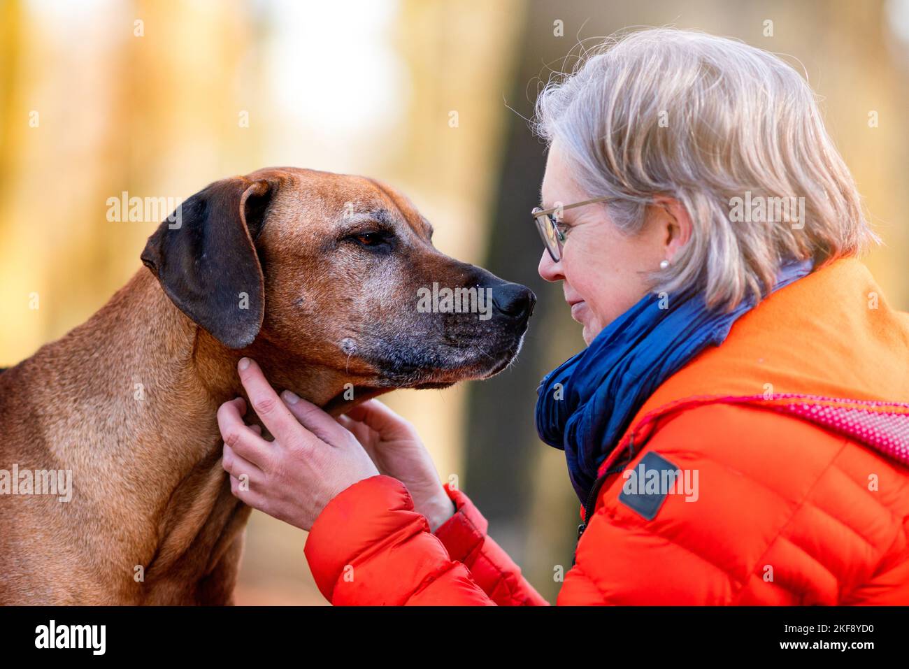 Femme avec le Rhodesian Ridgeback Banque D'Images